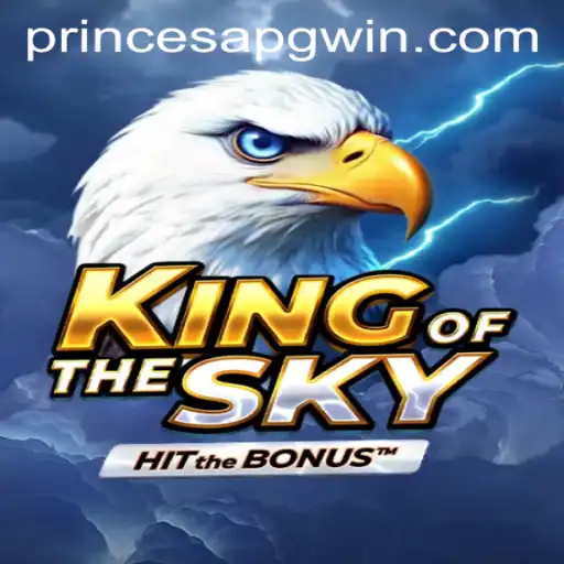 PRINCESAPG Casino App